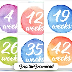 Watercolor Pregnancy Weeks and Milestones - 55 Cards - DOWNLOAD