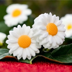 May include: Three white daisies with yellow centers are arranged on a green leaf and a red surface. The daisies are in focus, while the background is blurred.