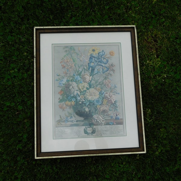 Robert Furber Henry Fletcher Twelve Months of Flowers JUNE 1730 Etching Ethan Allen Frame