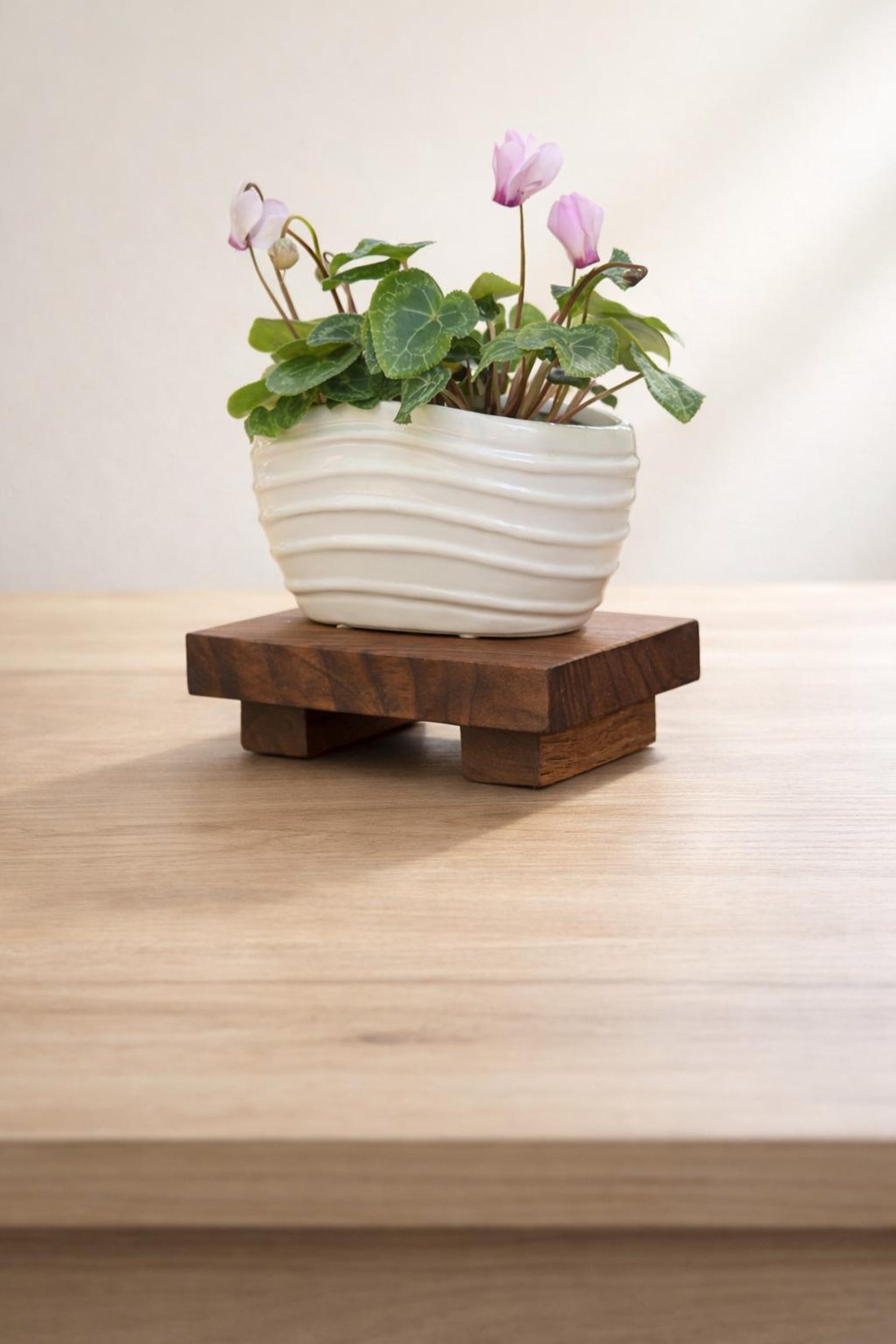Walnut Wood Plant Stand Riser - Handmade Wooden Display Risers for ...