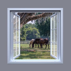 Open Window Wall Vinyl, Horses Under Tree, Wall Decor, Wall Decal, Removable Vinyl