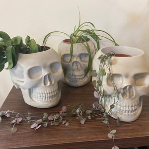 Skull Planter | Concrete | Goth Core | Witchy Decor | Skull Pot | Indoor/Outdoor | Halloween Decor | Life-Size Skull Planter