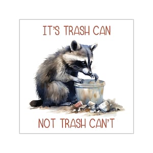 It&#39;s Trash Can, Not Trash Can&#39;t Raccoon Vinyl Sticker | Cute Raccoon Sticker | Trash Panda Art | Inspirational Raccoon Quote