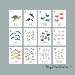 Ocean Animals Number Cards 1-12, Digital Download, Preschool Homeschool Printables, Counting Numbers Flashcards, Tiny Trees Studio Co