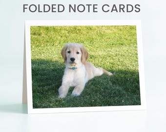 Photo Note Cards: Custom Cards with Your Picture