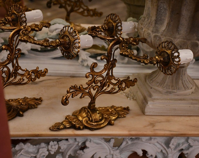 Antique pair of 19th century brass appliques