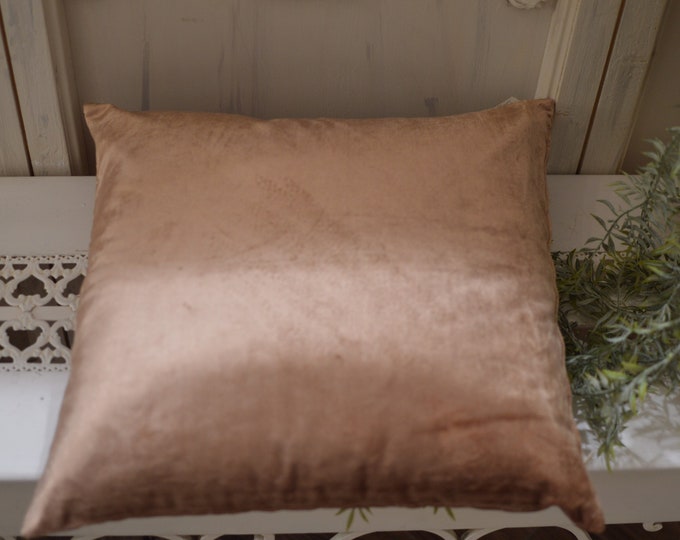 Ivory bronze velvet cushion