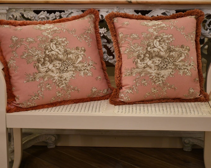 Cushion with toile de jouy sheaths