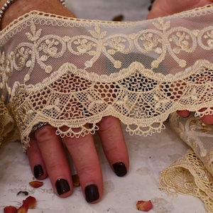 Antique Italian 20th Century Lace in Beige Embroidered Tulle