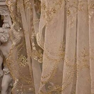May include: A pair of sheer curtains with a delicate gold embroidered pattern. The curtains are made of a lightweight fabric and have a flowing, romantic look.