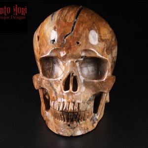Petrified Wood - Semi-Precious Stone Scull
