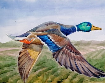 Flying duck original watercolour painting A3 unframed