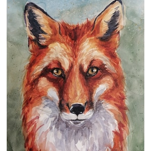 FOX original watercolour painting A3 framed