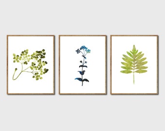 Botanical Print Set of 3 -  Watercolor Flowers, Floral Art Set, Botanical Poster, Leaf Print, Nature Painting, Set of 3 Prints