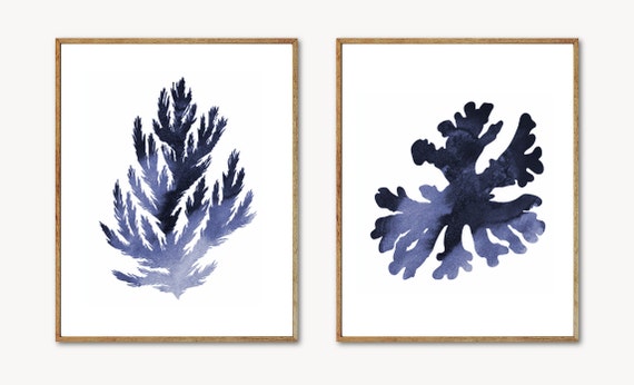 Blue Coral Wall Art Coral Print Set Beach Decor Seaweed Etsy Blue Coral Wall Art Coral Print Set Beach Decor Seaweed Etsy