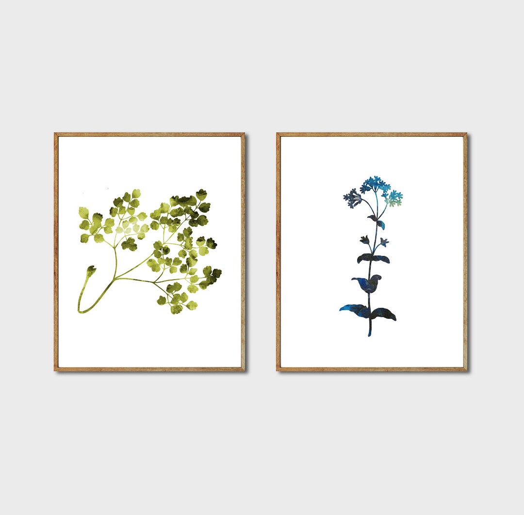 Floral Print Set Watercolor Flowers Botanical Artwork Etsy