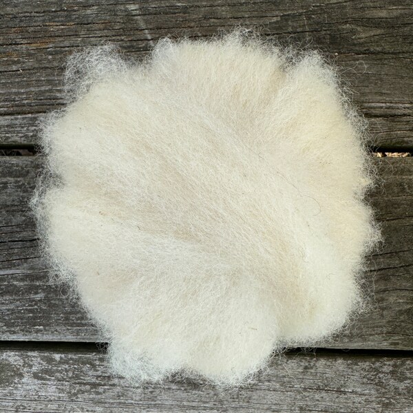 Romney Wool Roving, 16 oz.