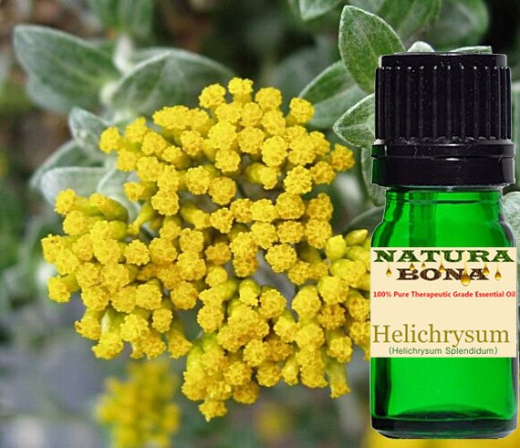 Immortelle oil online
