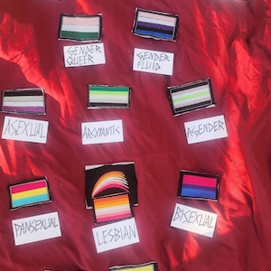 May include: A collection of embroidered patches representing different sexual orientations and gender identities. The patches are arranged on a red fabric background. The patches include the rainbow flag, the transgender flag, the bisexual flag, the lesbian flag, the asexual flag, the aromantic flag, the agender flag, the genderqueer flag, the genderfluid flag, the intersex flag, the non-binary flag, the pansexual flag, the polysexual flag, and the progress flag.