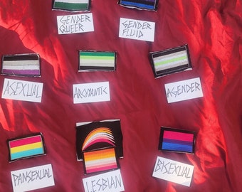 Può includere: Una collezione di toppe ricamate che rappresentano diversi orientamenti sessuali e identità di genere. Le toppe sono disposte su uno sfondo di tessuto rosso. Le toppe includono la bandiera arcobaleno, la bandiera transgender, la bandiera bisessuale, la bandiera lesbica, la bandiera asessuale, la bandiera aromantica, la bandiera agender, la bandiera genderqueer, la bandiera genderfluid, la bandiera intersessuale, la bandiera non binaria, la bandiera panessuale, la bandiera poliessuale e la bandiera del progresso.