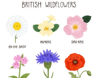 British Wildflower Print
