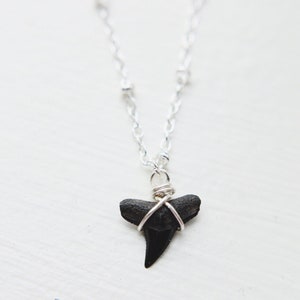 Tiny Fossil Shark Tooth Choker