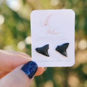 May include: A pair of black fossilized shark tooth earrings on a white card with the text "Bohemian's Glory" and "www.bohemian'sglory.com".