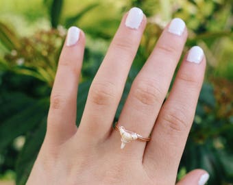 Tiny Natural Shark Tooth Sterling Silver Wire Wrapped Ring / rose gold ring / gold ring / silver ring / midi ring / beach jewelry