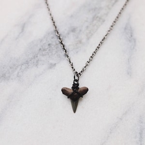 Black Fossil Shark Tooth Necklace