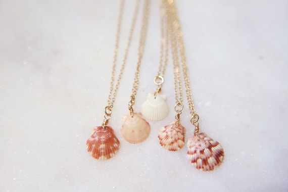 One-of-a-Kind Calico Sea Shell Wire Wrapped Necklace
