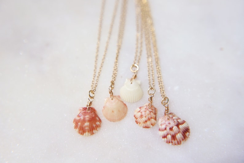 May include: Five delicate seashell necklaces with gold-colored chains. The shells vary in color, including shades of pink, white, and orange, and are suspended from the chains. The necklaces are arranged against a white, slightly textured background.