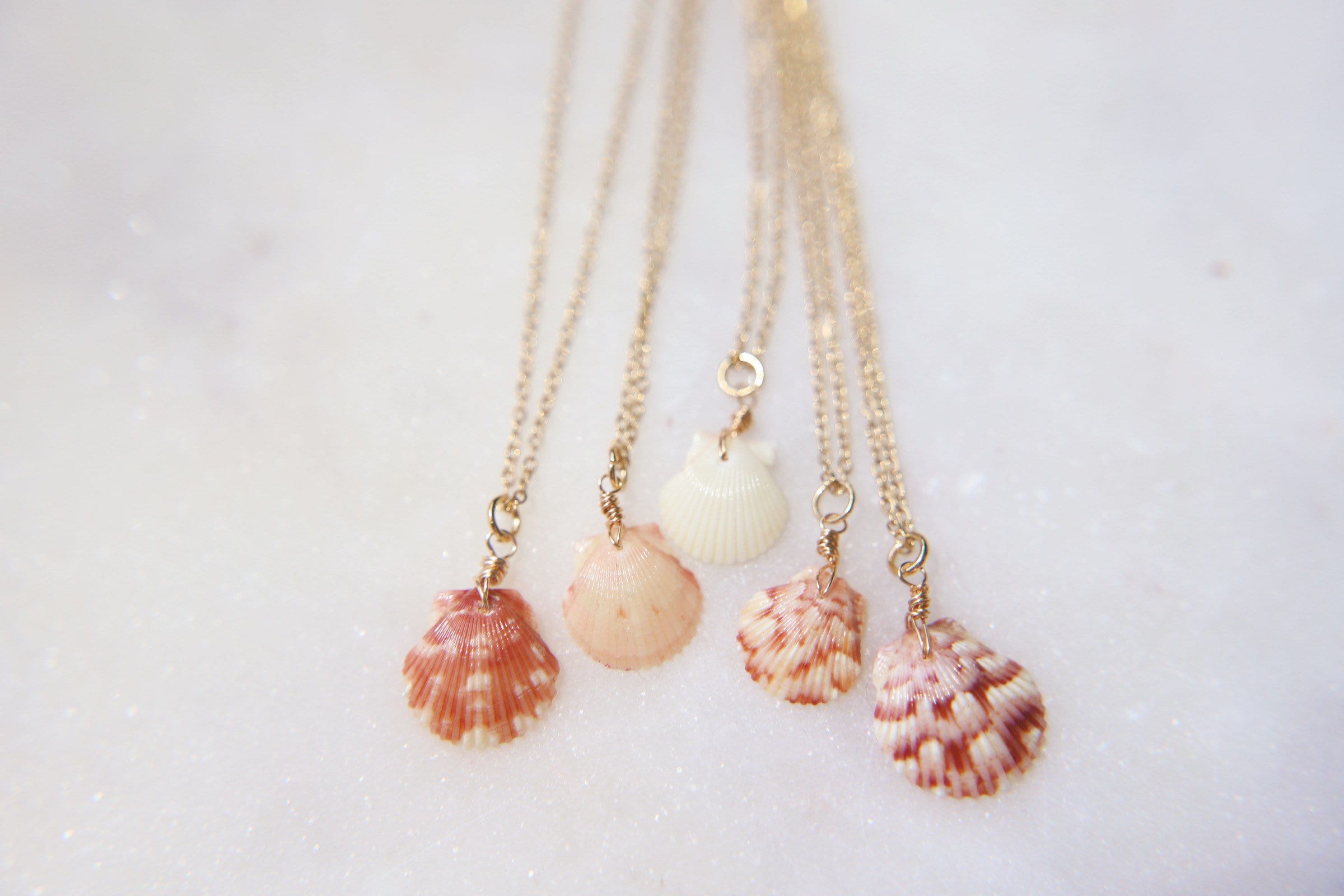 One-of-a-Kind Calico Sea Shell Wire Wrapped Necklace