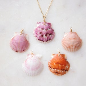 Calico Scallop Sea Shell Necklaces
