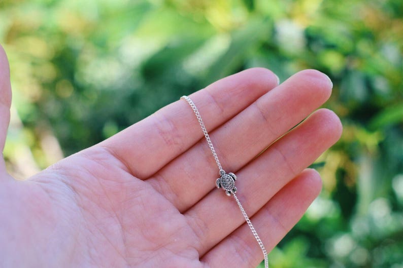 Pu&ograve; includere: Una collana a catena d'argento con un piccolo ciondolo a forma di tartaruga. La collana &egrave; tenuta in una mano su uno sfondo verde.