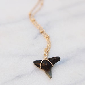 May include: A gold chain necklace with a fossilized shark tooth pendant. The tooth is dark grey and has a pointed tip.