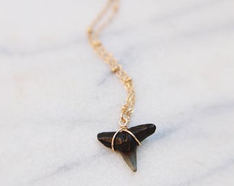 Shark Bite Wire Wrapped Black Shark Tooth Necklace