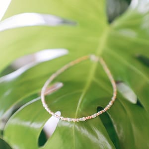 Lily Rose Gold Seed Beaded Anklet