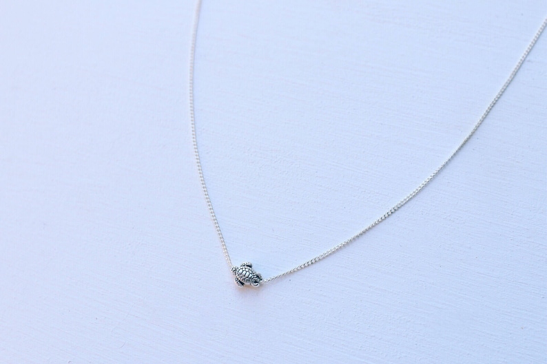 Pu&ograve; includere: Una collana a catena d'argento con un piccolo ciondolo a forma di tartaruga.