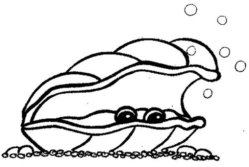 Clamshell Stamp Ocean Under The Sea Mermaid Beach Clam Etsy
