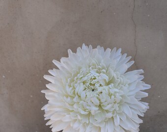 Double Mum Spray, Faux Flower Stem, MUM stem, White Double Mum, DIY Flowers, Silk Flowers,