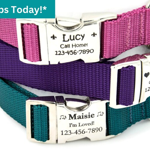Engraved Dog Collar Personalized With Laser Engraved Nameplate Etsy