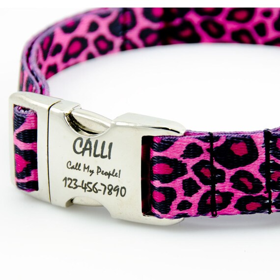 female dog in heat frequent urination