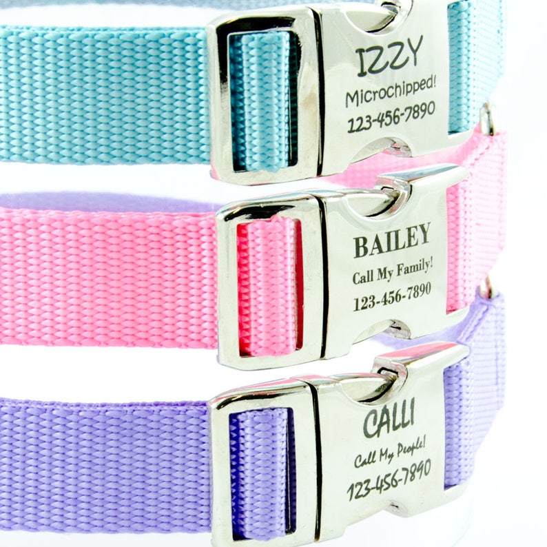 Laser Engraved Dog Collar Personalized With Your Info Etsy