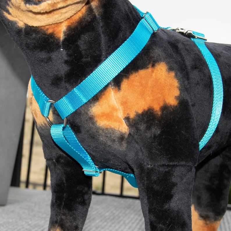 Personalized Dog Harness No Pull Front Clip Adjustable Etsy