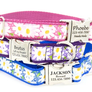 Daisy Blocks Pink Dog Collar with Laser Engraved Personalized Buckle Daisy Blocks Pink Dog Collar with Laser Engraved Personalized Buckle