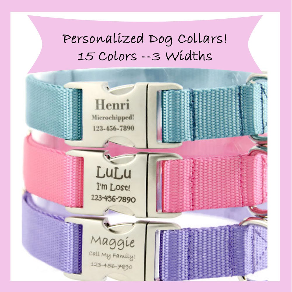 Engraved Dog Collar Personalized With Laser Engraved Nameplate Etsy