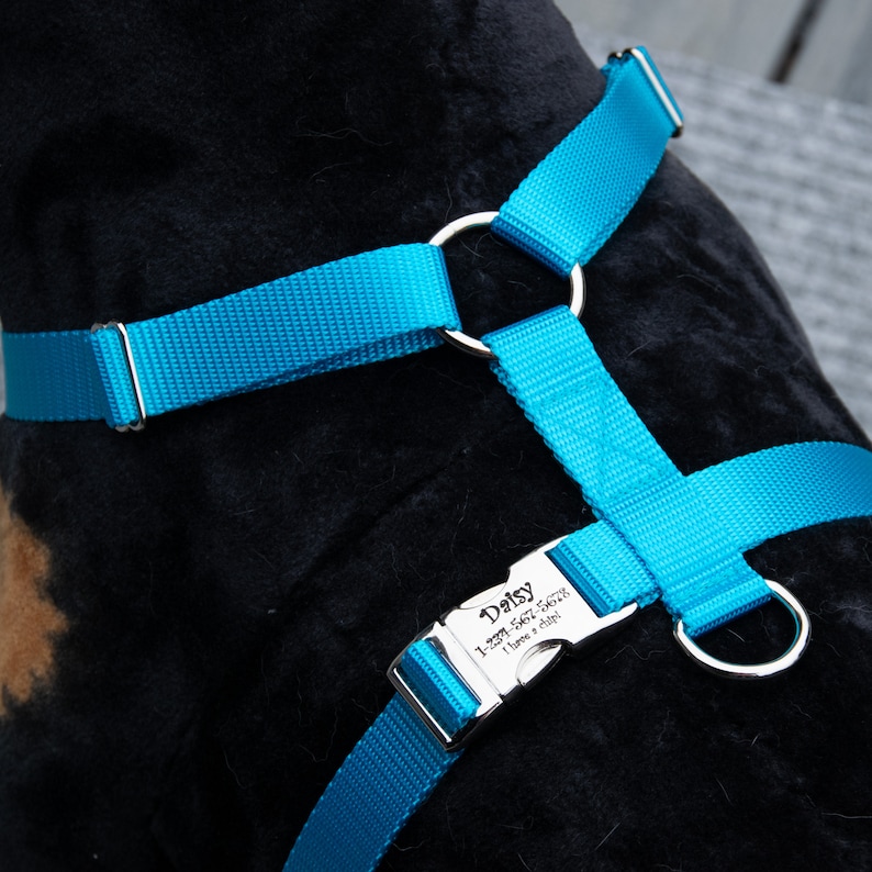 Personalized Dog Harness No Pull Front Clip Adjustable Etsy
