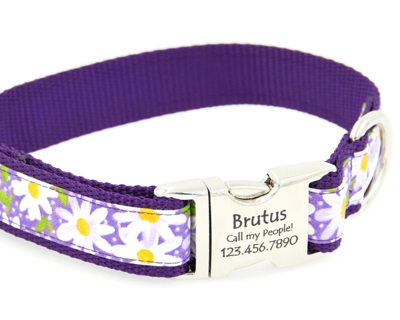 Daisy Print Dog Collar Personalized With a Laser Engraved Etsy