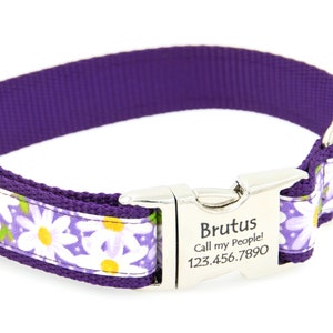 Daisy Blocks Pink Dog Collar with Laser Engraved Personalized Buckle Daisy Blocks Pink Dog Collar with Laser Engraved Personalized Buckle
