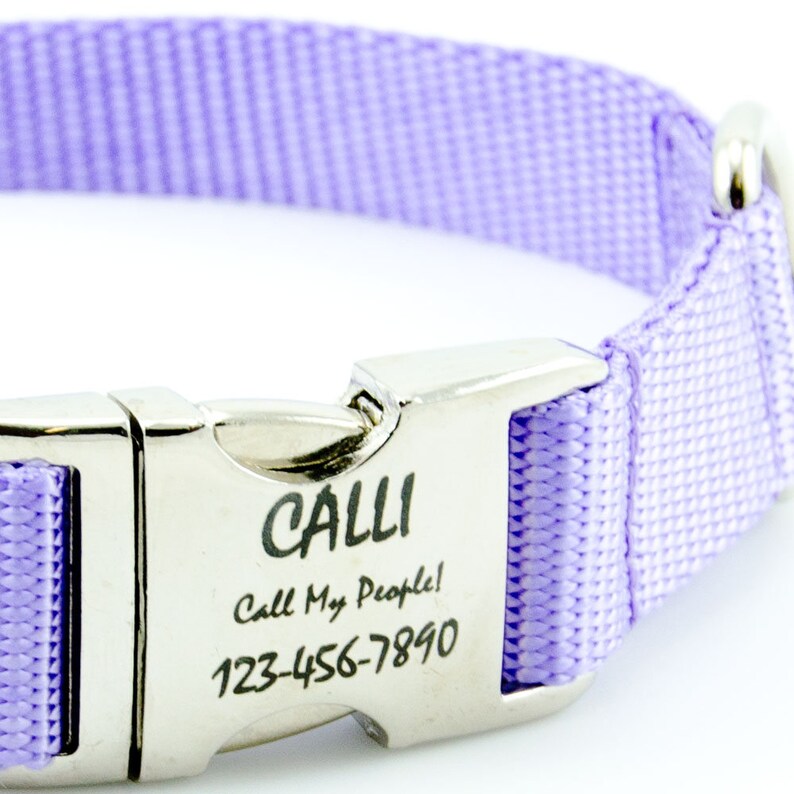 Lavender Dog Collar Perfect for Spring Personalized with Etsy